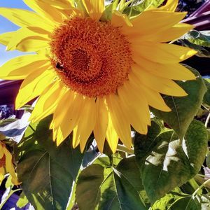 Meet your Posher, Leanne